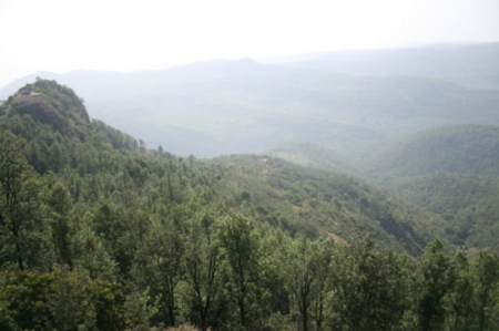 yercaud servarayan hill