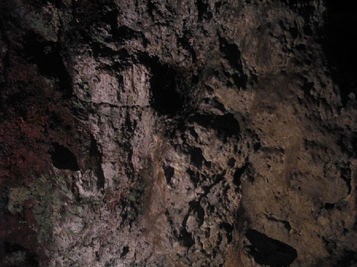 yercaud-bears-cave