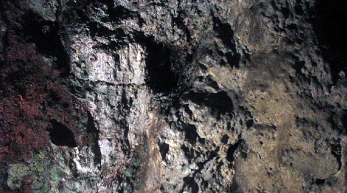 Bears Cave in Yercau